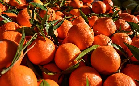 Pomarańcze w winie - przepis na wyjątkowy deser